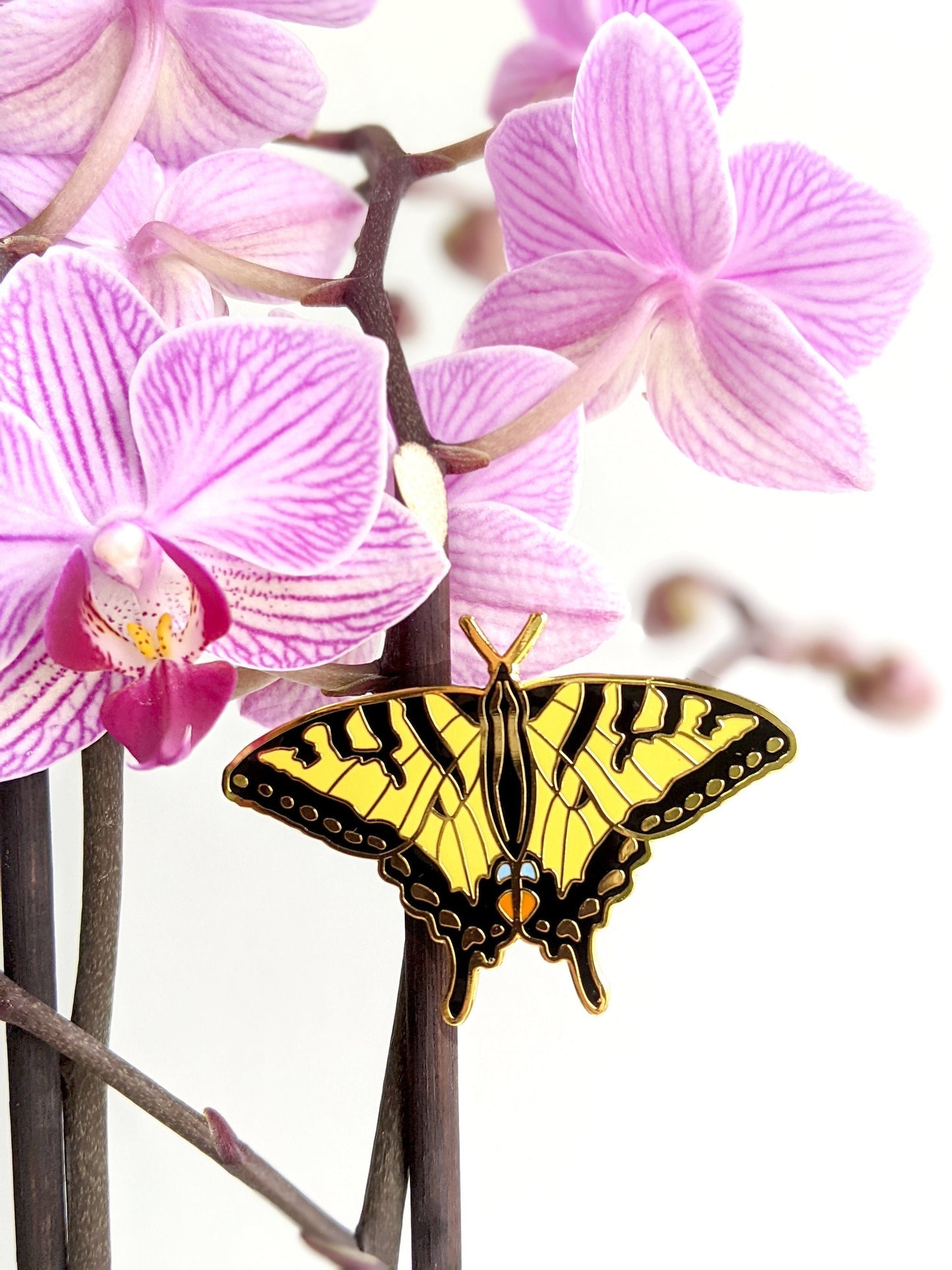 Canadian Tiger Swallowtail Butterfly hard enamel pin
