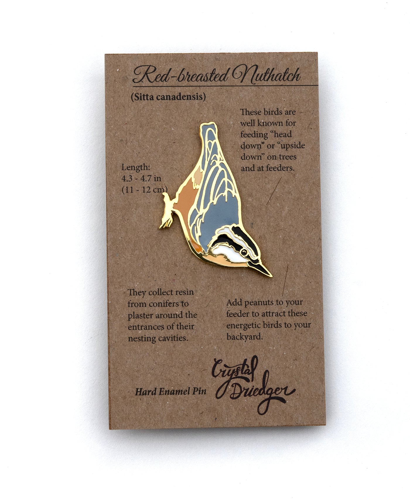 Red Breasted Nuthatch Enamel Pin